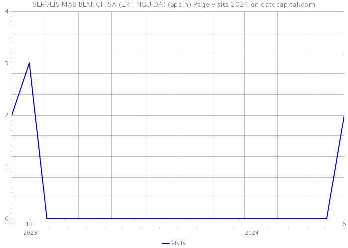 SERVEIS MAS BLANCH SA (EXTINGUIDA) (Spain) Page visits 2024 