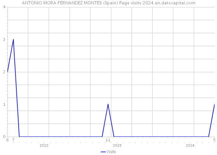 ANTONIO MORA FERNANDEZ MONTES (Spain) Page visits 2024 