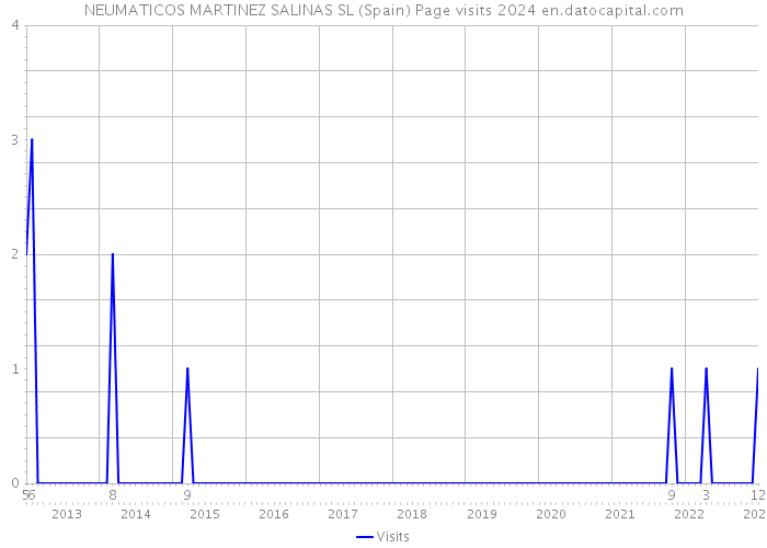 NEUMATICOS MARTINEZ SALINAS SL (Spain) Page visits 2024 