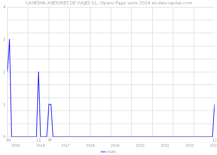 GANESHA ASESORES DE VIAJES S.L. (Spain) Page visits 2024 