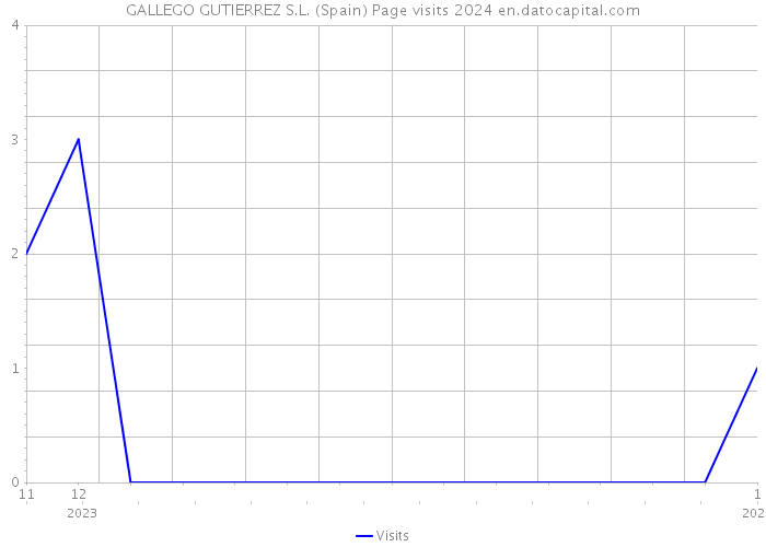 GALLEGO GUTIERREZ S.L. (Spain) Page visits 2024 