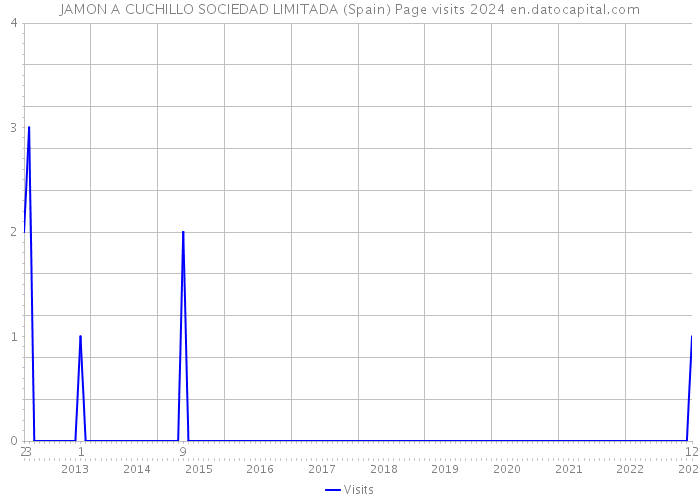 JAMON A CUCHILLO SOCIEDAD LIMITADA (Spain) Page visits 2024 