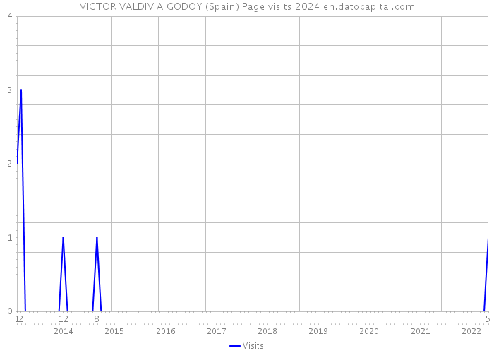 VICTOR VALDIVIA GODOY (Spain) Page visits 2024 