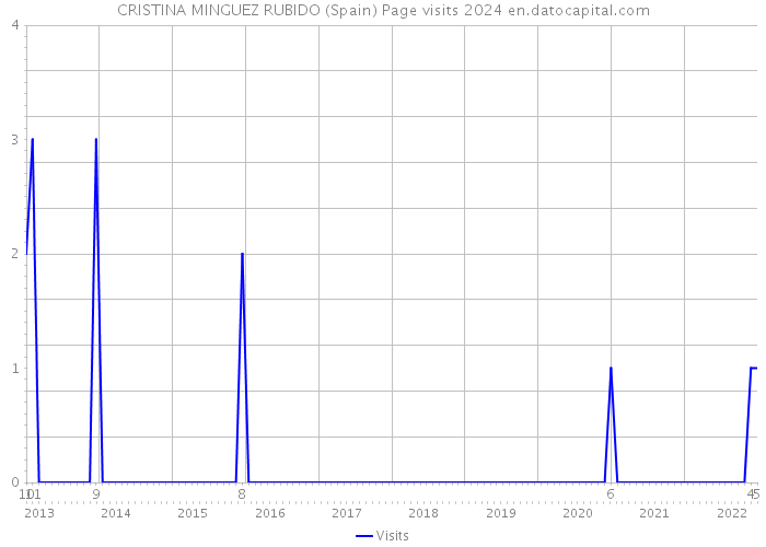 CRISTINA MINGUEZ RUBIDO (Spain) Page visits 2024 