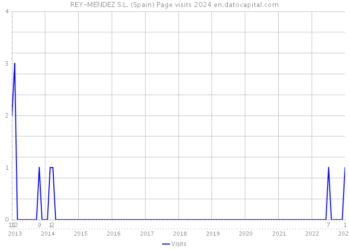 REY-MENDEZ S.L. (Spain) Page visits 2024 