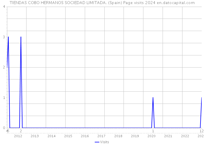 TIENDAS COBO HERMANOS SOCIEDAD LIMITADA. (Spain) Page visits 2024 