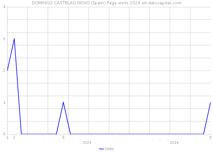 DOMINGO CASTELAO NOVO (Spain) Page visits 2024 