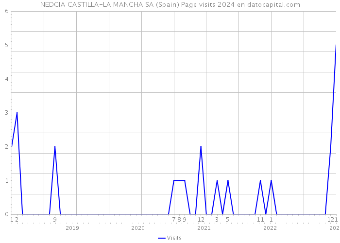 NEDGIA CASTILLA-LA MANCHA SA (Spain) Page visits 2024 