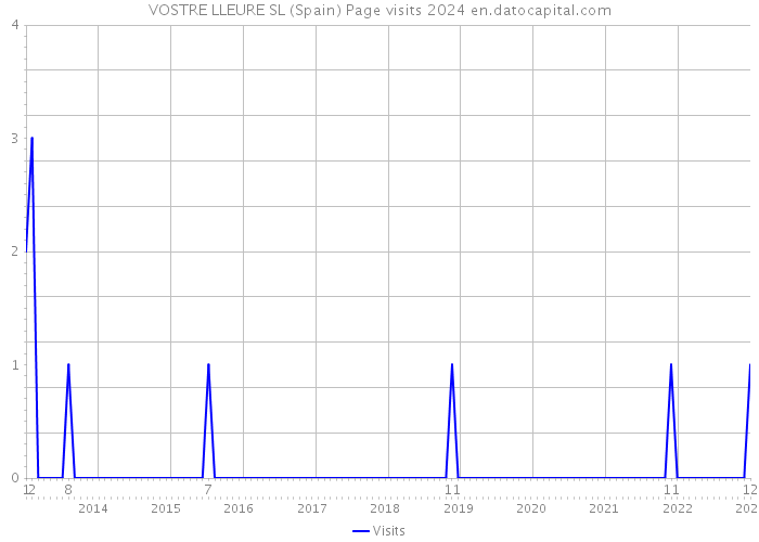 VOSTRE LLEURE SL (Spain) Page visits 2024 