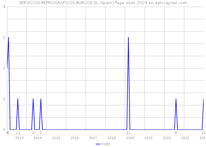 SERVICIOS REPROGRAFICOS BURGOS SL (Spain) Page visits 2024 