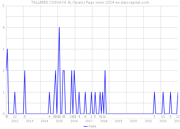TALLERES COSGAYA SL (Spain) Page visits 2024 