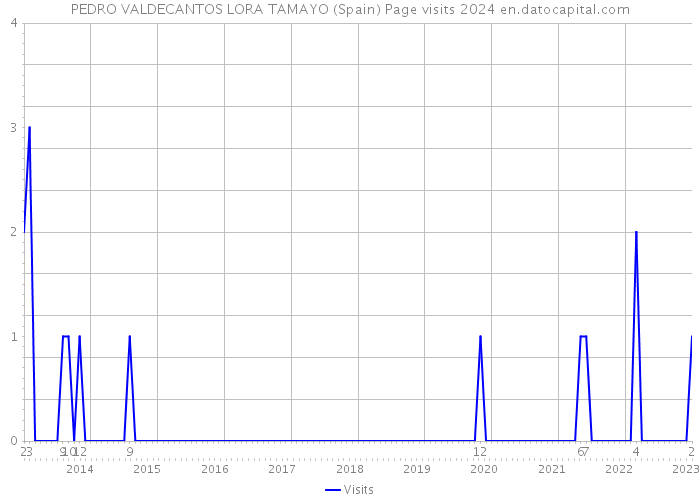 PEDRO VALDECANTOS LORA TAMAYO (Spain) Page visits 2024 