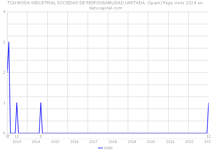 TGN MODA INDUSTRIAL SOCIEDAD DE RESPONSABILIDAD LIMITADA. (Spain) Page visits 2024 