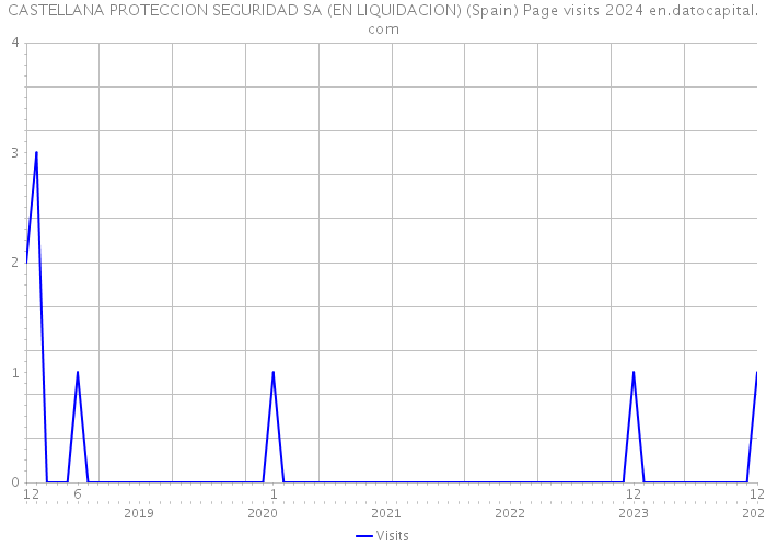 CASTELLANA PROTECCION SEGURIDAD SA (EN LIQUIDACION) (Spain) Page visits 2024 