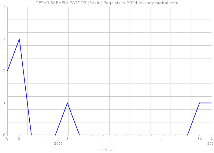 CESAR SARABIA PASTOR (Spain) Page visits 2024 