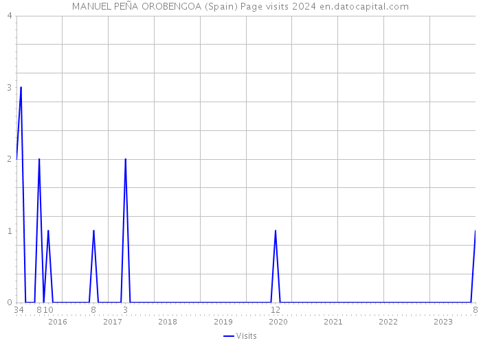 MANUEL PEÑA OROBENGOA (Spain) Page visits 2024 