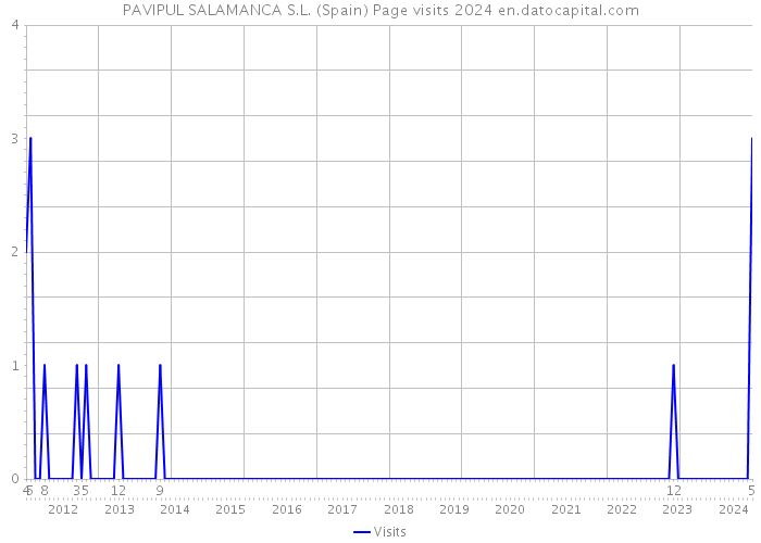 PAVIPUL SALAMANCA S.L. (Spain) Page visits 2024 