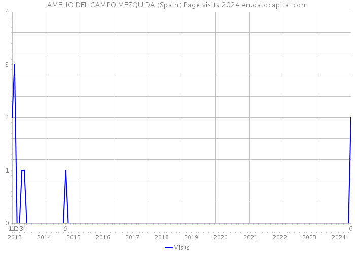 AMELIO DEL CAMPO MEZQUIDA (Spain) Page visits 2024 