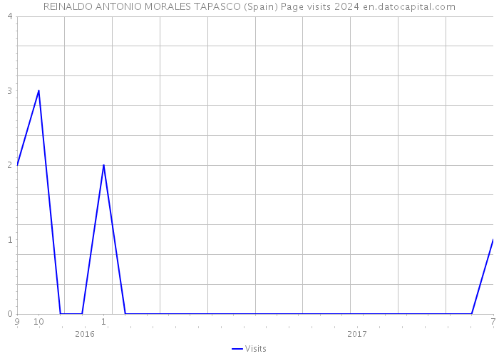 REINALDO ANTONIO MORALES TAPASCO (Spain) Page visits 2024 