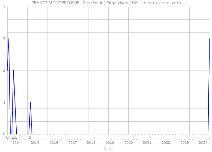 ZEHATZ MONTERO FORURIA (Spain) Page visits 2024 