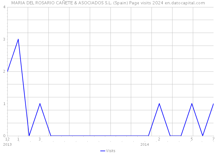 MARIA DEL ROSARIO CAÑETE & ASOCIADOS S.L. (Spain) Page visits 2024 