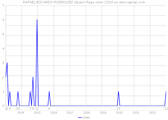 RAFAEL BOCARDO RODRIGUEZ (Spain) Page visits 2024 