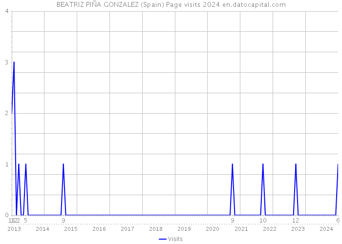 BEATRIZ PIÑA GONZALEZ (Spain) Page visits 2024 