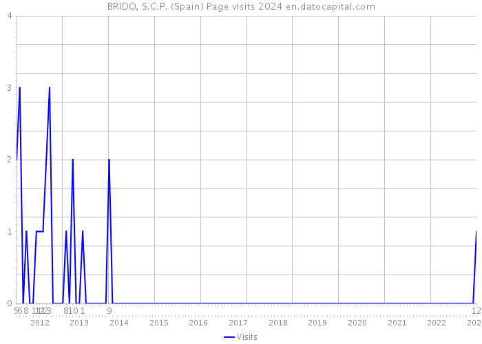 BRIDO, S.C.P. (Spain) Page visits 2024 