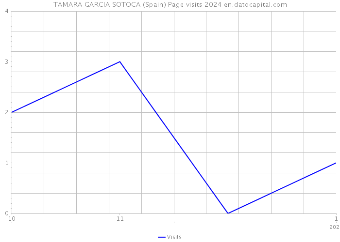 TAMARA GARCIA SOTOCA (Spain) Page visits 2024 