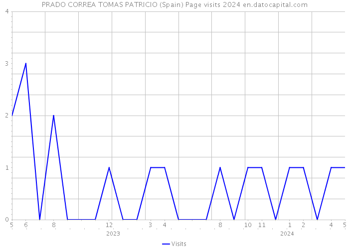 PRADO CORREA TOMAS PATRICIO (Spain) Page visits 2024 