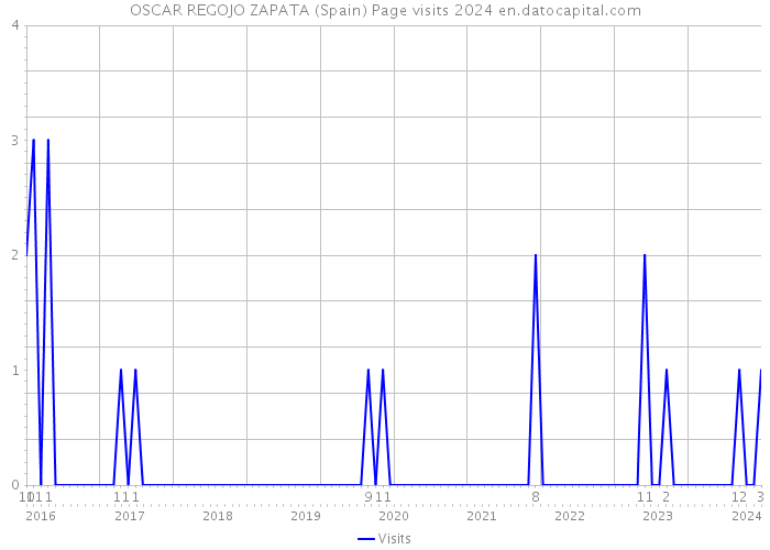 OSCAR REGOJO ZAPATA (Spain) Page visits 2024 