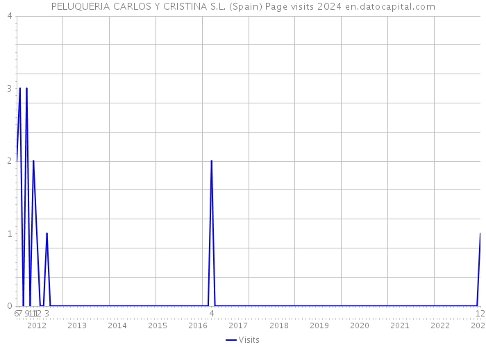 PELUQUERIA CARLOS Y CRISTINA S.L. (Spain) Page visits 2024 