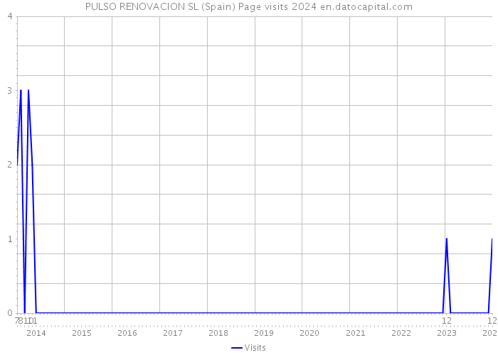 PULSO RENOVACION SL (Spain) Page visits 2024 