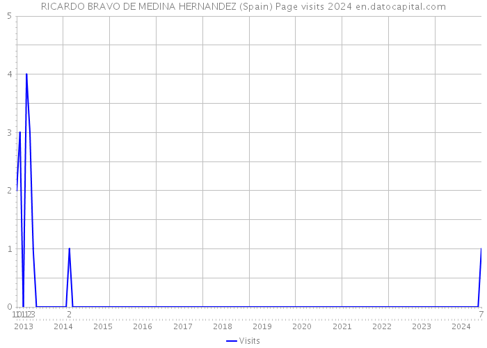 RICARDO BRAVO DE MEDINA HERNANDEZ (Spain) Page visits 2024 