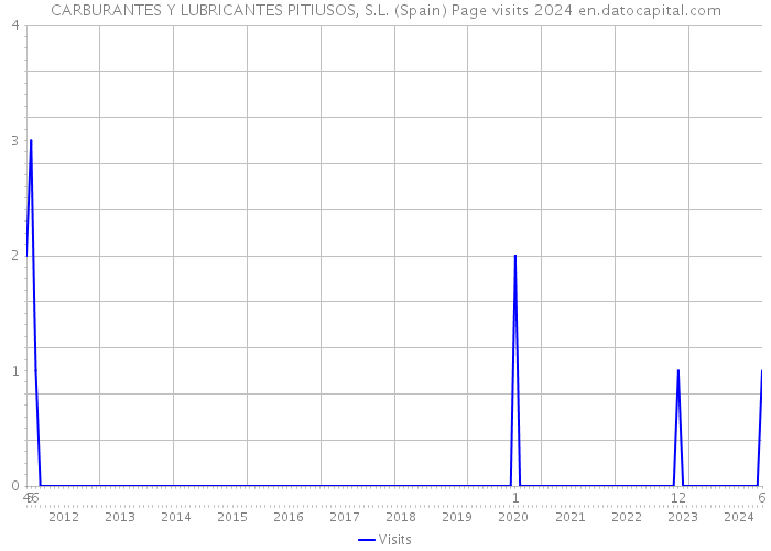 CARBURANTES Y LUBRICANTES PITIUSOS, S.L. (Spain) Page visits 2024 