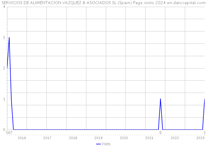 SERVICIOS DE ALIMENTACION VAZQUEZ & ASOCIADOS SL (Spain) Page visits 2024 