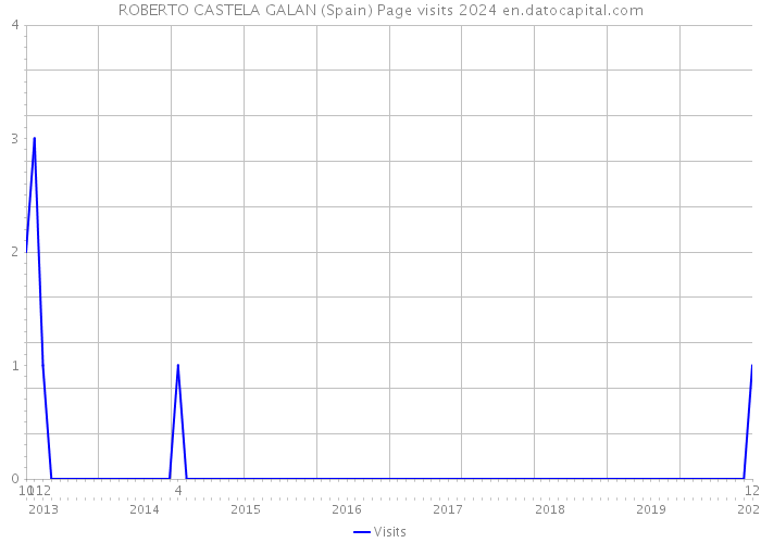 ROBERTO CASTELA GALAN (Spain) Page visits 2024 