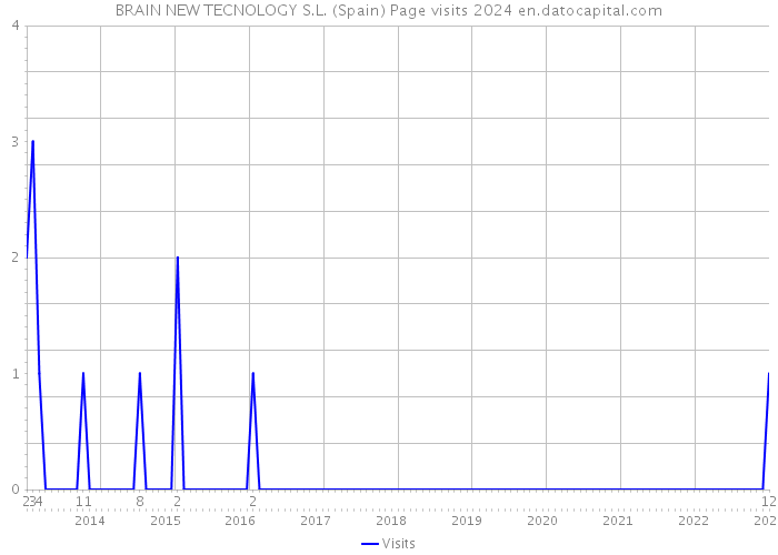 BRAIN NEW TECNOLOGY S.L. (Spain) Page visits 2024 