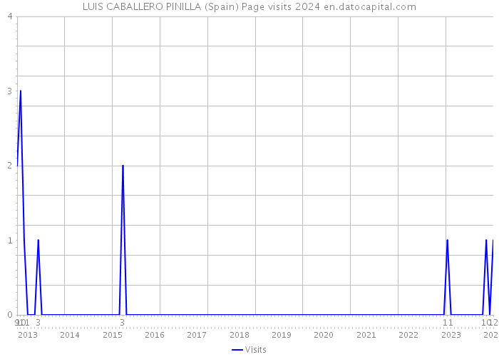 LUIS CABALLERO PINILLA (Spain) Page visits 2024 