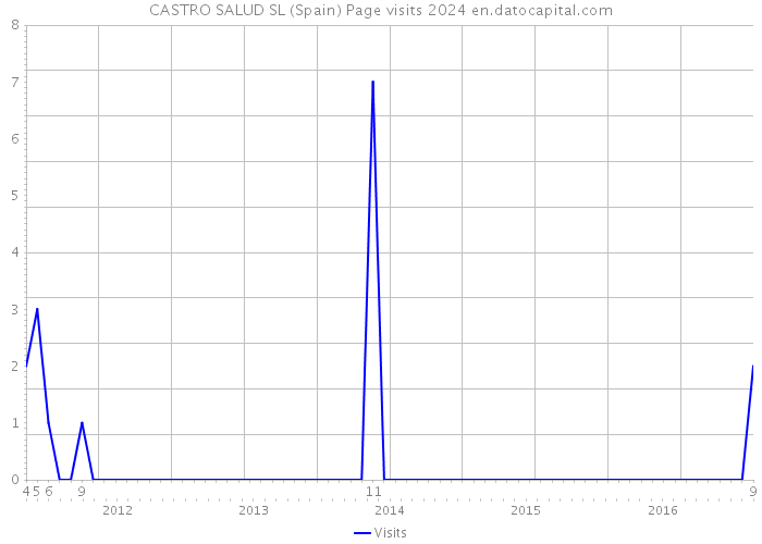 CASTRO SALUD SL (Spain) Page visits 2024 