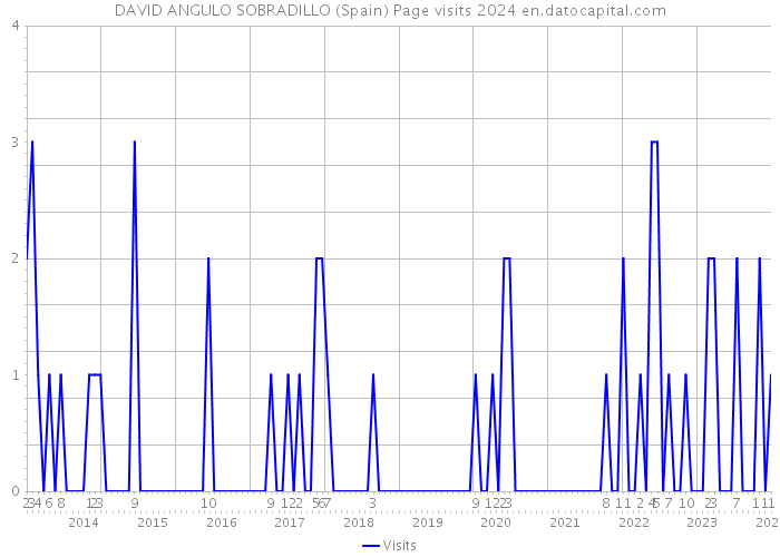 DAVID ANGULO SOBRADILLO (Spain) Page visits 2024 