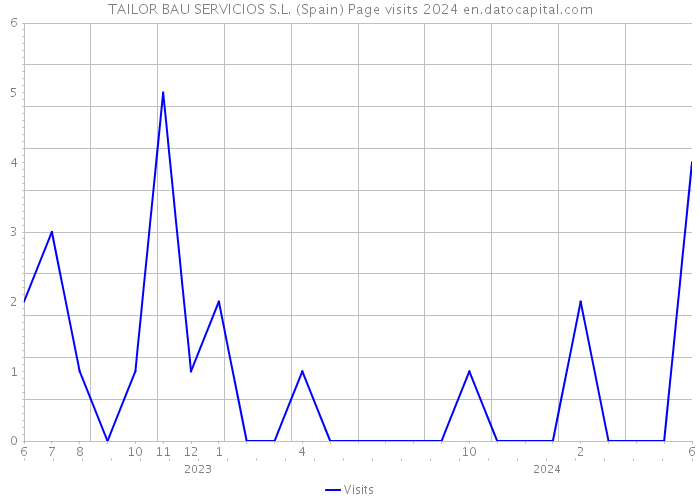 TAILOR BAU SERVICIOS S.L. (Spain) Page visits 2024 