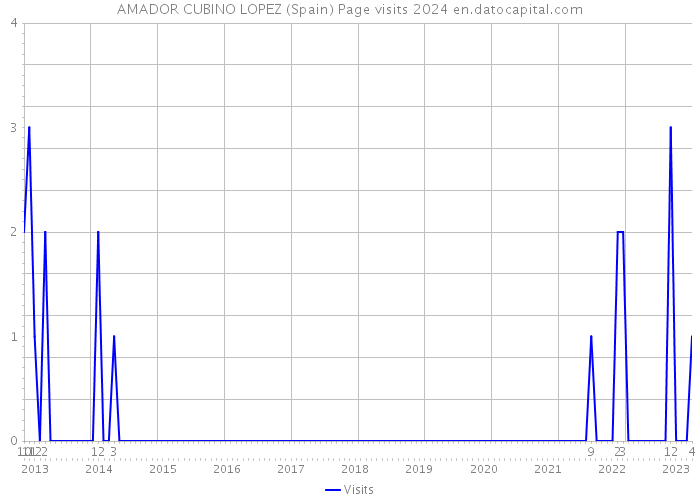 AMADOR CUBINO LOPEZ (Spain) Page visits 2024 