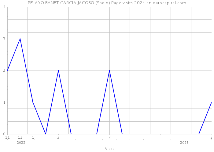 PELAYO BANET GARCIA JACOBO (Spain) Page visits 2024 