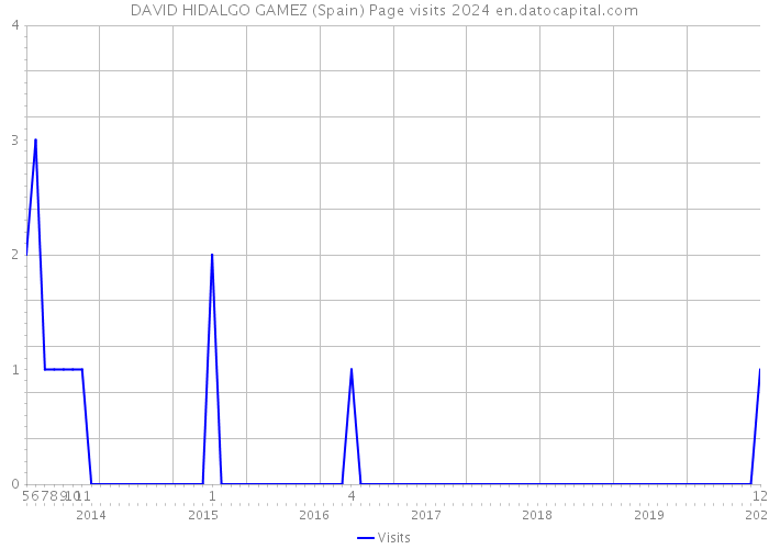 DAVID HIDALGO GAMEZ (Spain) Page visits 2024 