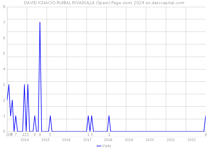 DAVID IGNACIO RUIBAL RIVADULLA (Spain) Page visits 2024 