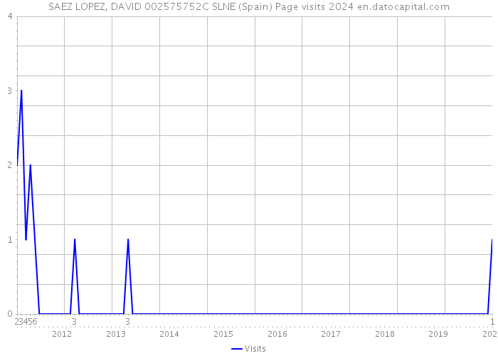 SAEZ LOPEZ, DAVID 002575752C SLNE (Spain) Page visits 2024 