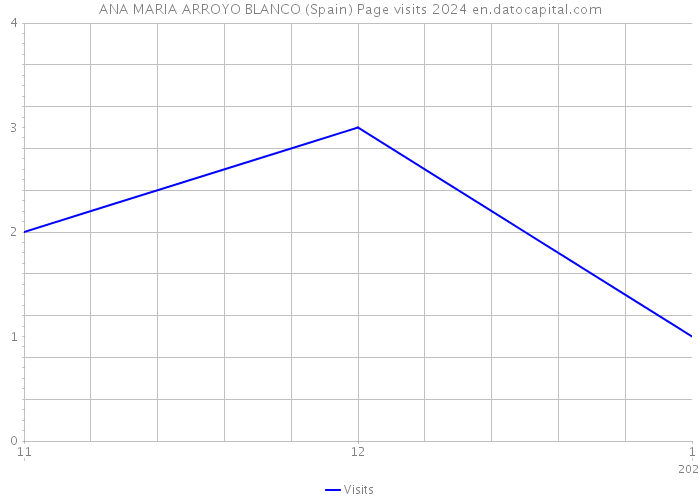 ANA MARIA ARROYO BLANCO (Spain) Page visits 2024 