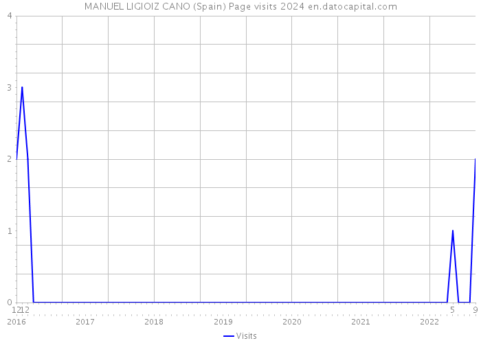 MANUEL LIGIOIZ CANO (Spain) Page visits 2024 