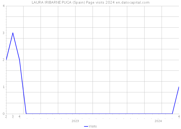 LAURA IRIBARNE PUGA (Spain) Page visits 2024 
